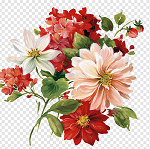 Program Logo - Link to Home Page