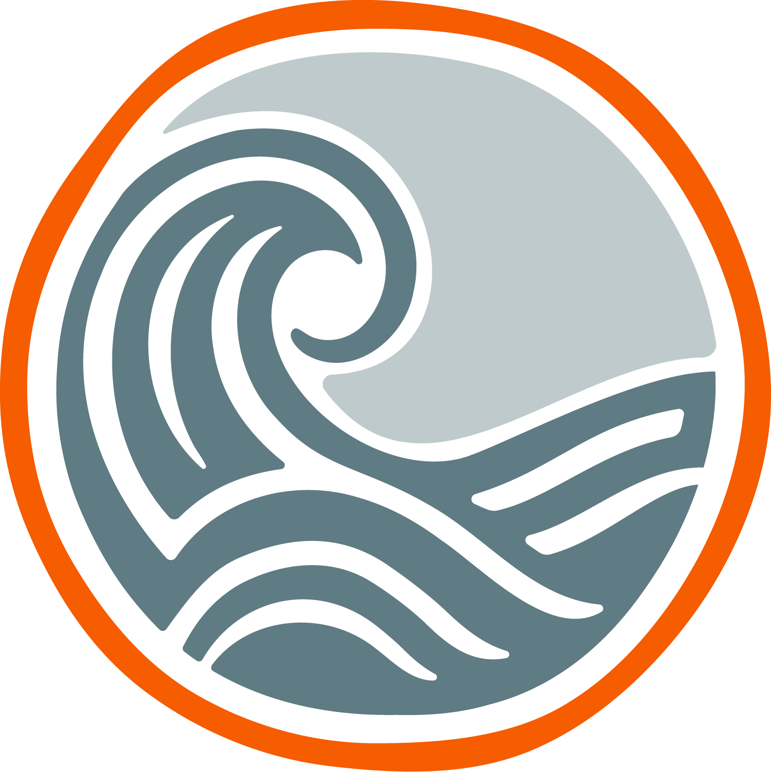 WAVES Group Mentoring | Program Overview